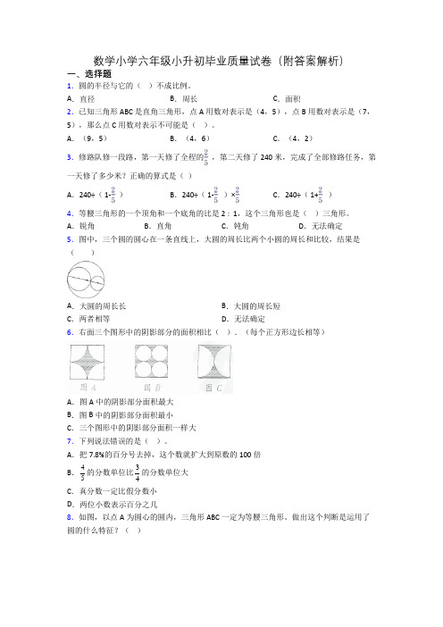 数学小学六年级小升初毕业质量试卷(附答案解析)