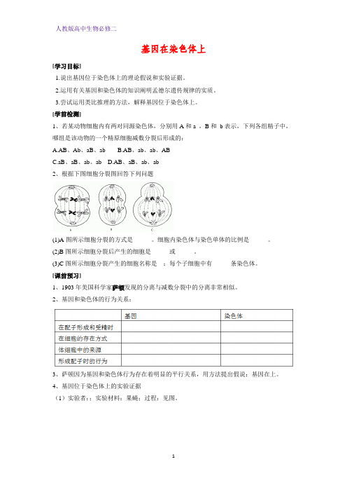 高中生物必修二学案6：2.2基因在染色体上