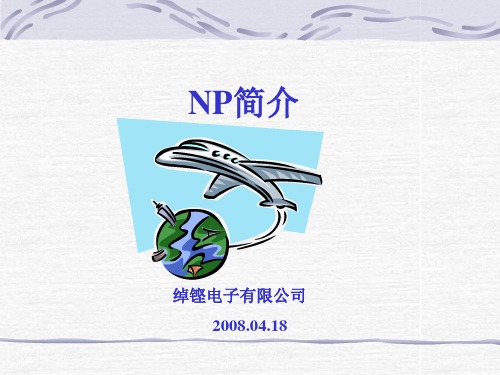 NP 简介