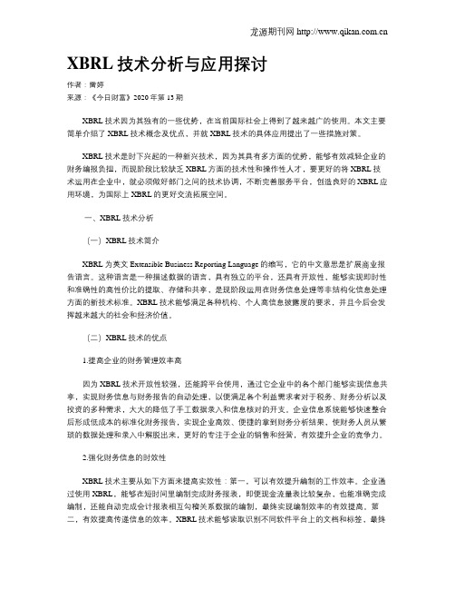 XBRL技术分析与应用探讨