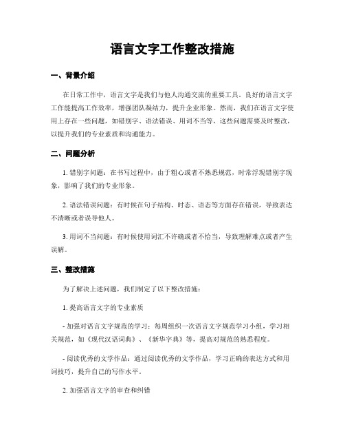 语言文字工作整改措施