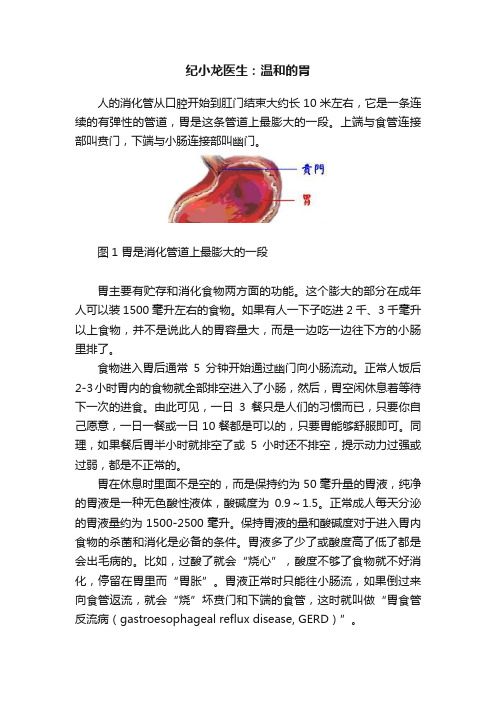 纪小龙医生：温和的胃