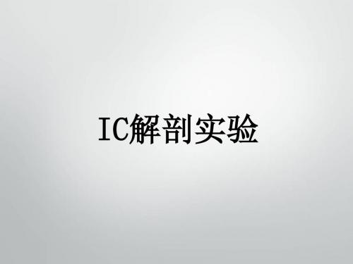 IC解剖实验PPT课件