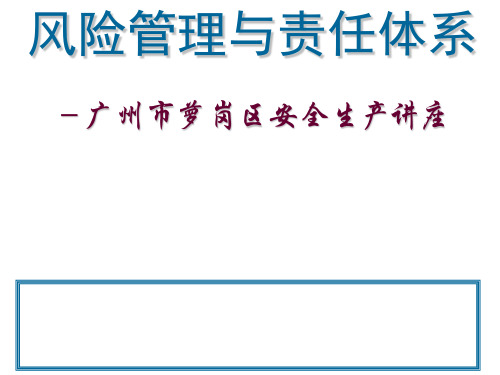 《 风险管理与责任体系 》