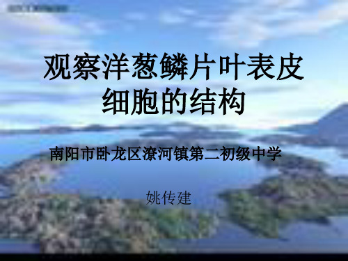 观察洋葱鳞片叶表皮细胞的结构