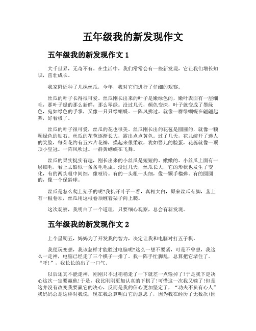 五年级我的新发现作文