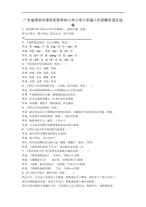 广东省深圳市深圳实验学校小学小学六年级小升初期末语文试卷