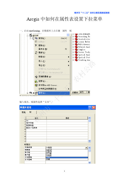 Arcgis中如何在属性表设置下拉菜单