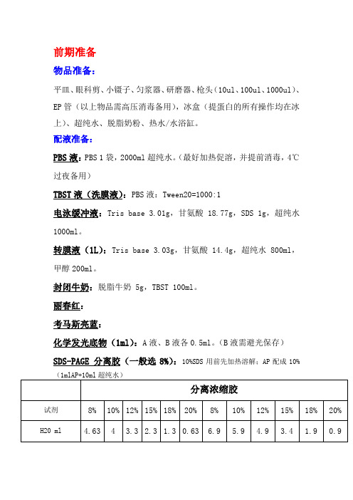 WESTERN详细实验步骤