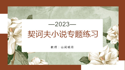 2024届高考专题复习：契诃夫小说专题++课件36张