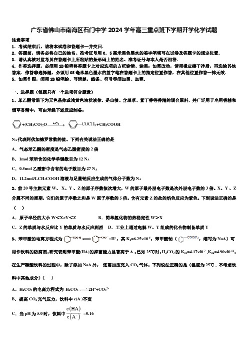 广东省佛山市南海区石门中学2024学年高三重点班下学期开学化学试题含解析