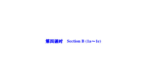 人教版九年级英语下册作业课件 Unit 14 第四课时 Section B (1a～1e)