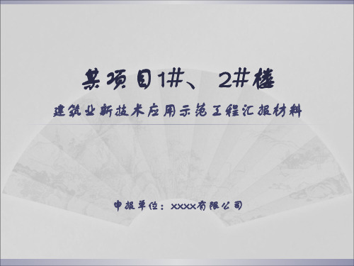 某项目湖北省建筑业新技术应用示范工程验收课件