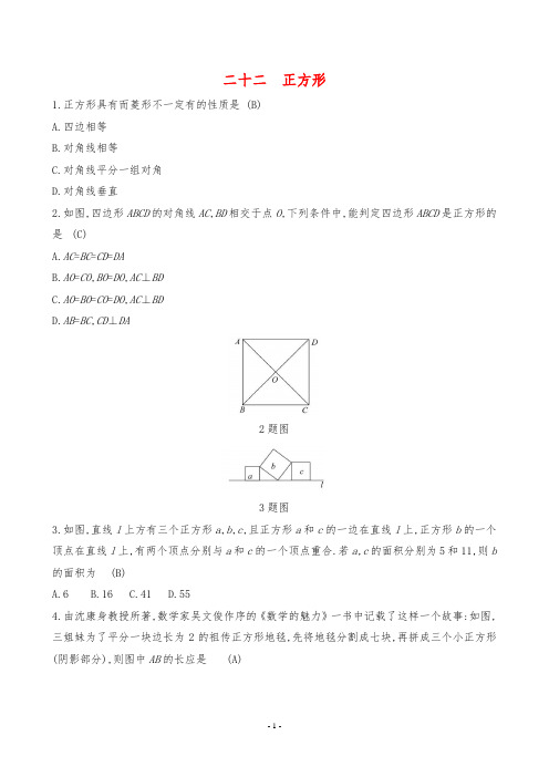 2024年中考数学总复习考点培优训练考点二十二 正方形