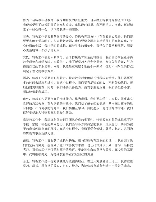 特教年轻教师的心得体会