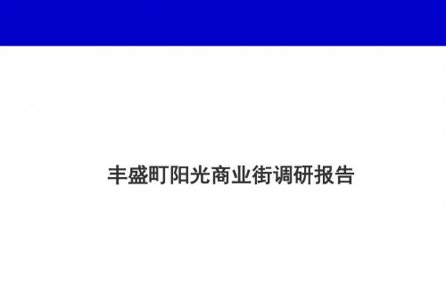 深圳丰盛町阳光商业街调研报告(改后)