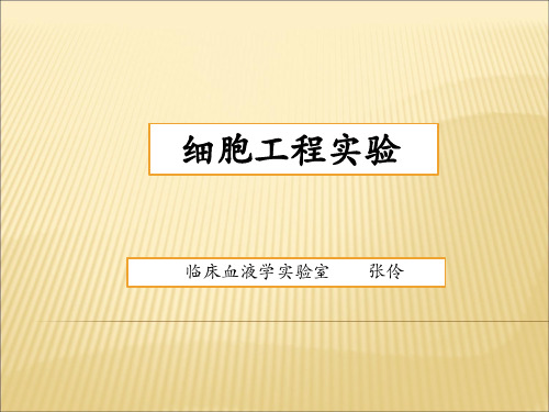 细胞工程实验一器材的清洗包装消毒与灭菌