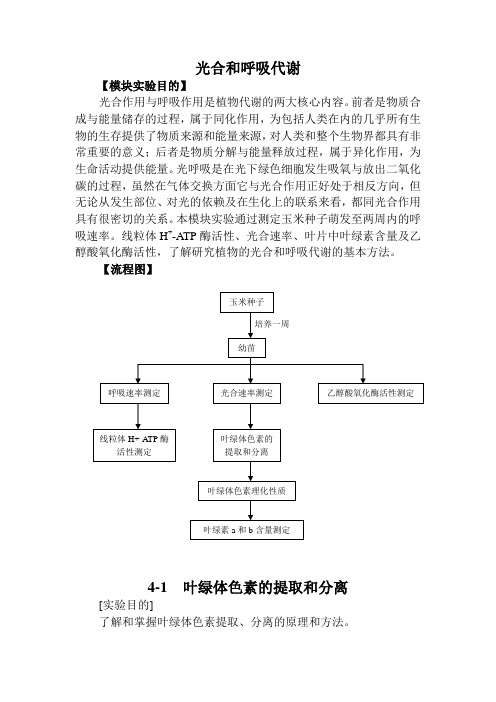 叶绿体色素的提取分离及其理化性质的鉴定实验