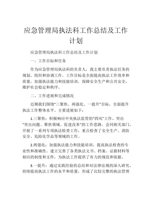 应急管理局执法科工作总结及工作计划