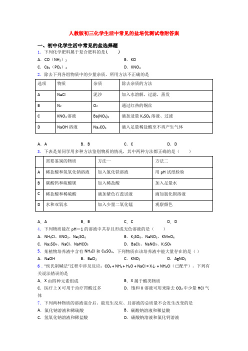 人教版初三化学生活中常见的盐培优测试卷附答案