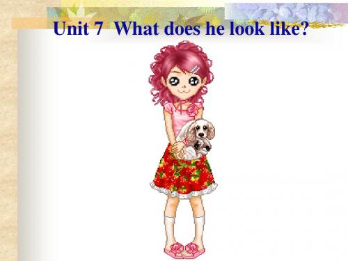 unit7What does he look like (SectionB)7-3 PPT课件.ppt