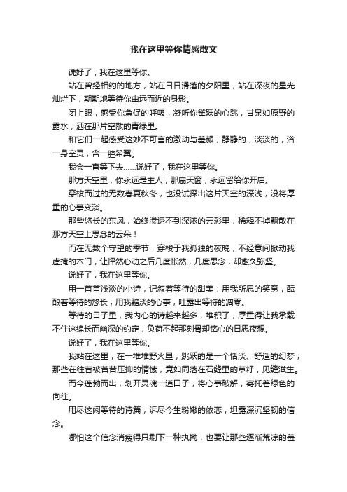 我在这里等你情感散文