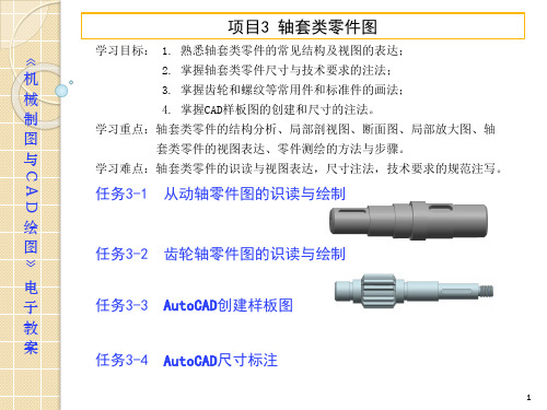 电子教案-机械制图与CAD(彭晓兰)课件 习题集参考答案-项目3轴套类零件图