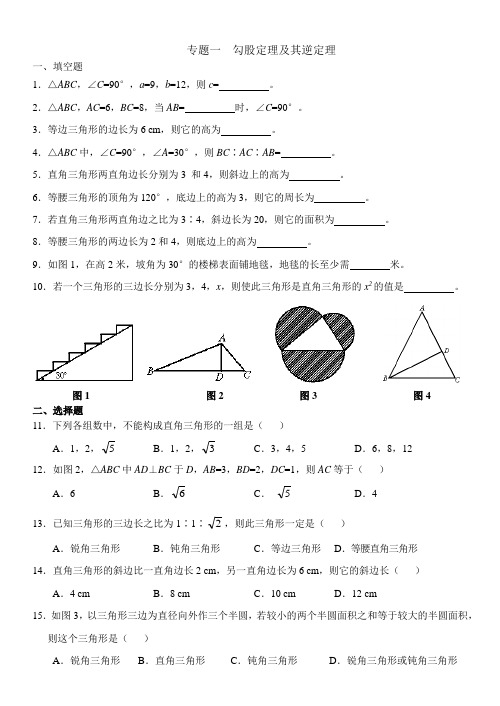 北师大版八年级上册数学寒假作业
