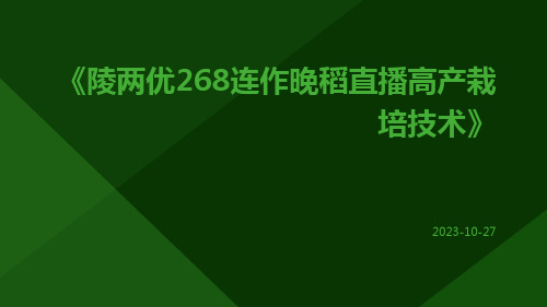 陵两优268连作晚稻直播高产栽培技术