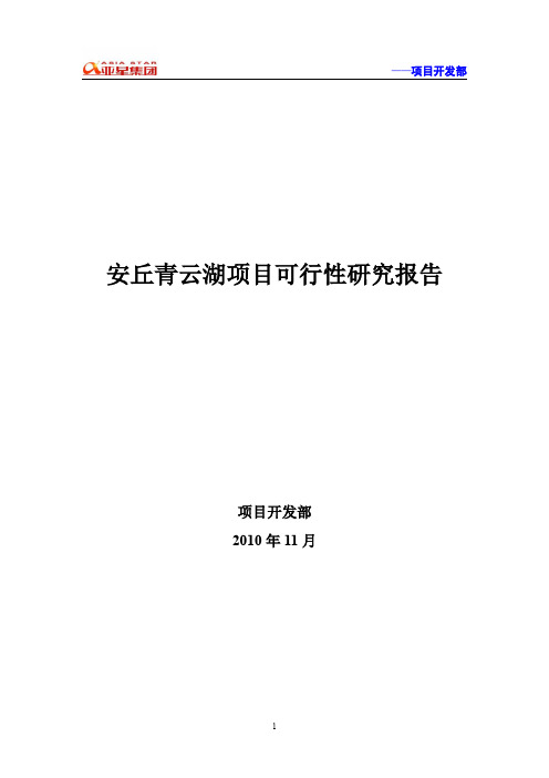 安丘项目可行性研究报告