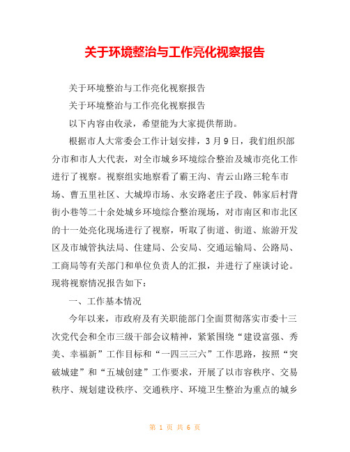 关于环境整治与工作亮化视察报告