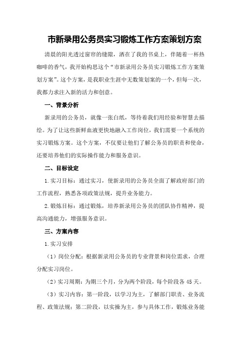 市新录用公务员实习锻炼工作方案策划方案