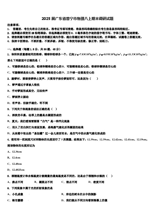 2025届广东省普宁市物理八上期末调研试题含解析