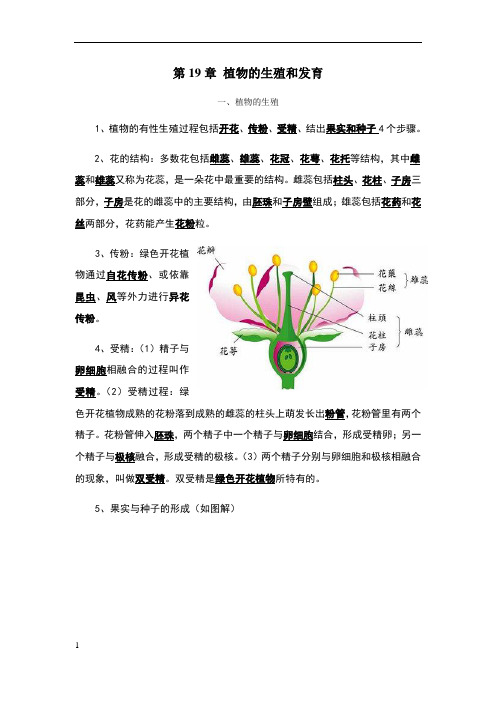 八年级生物1_19、20、21章知识点