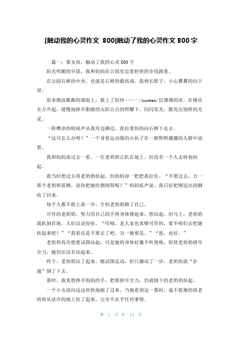 [触动我的心灵作文 800]触动了我的心灵作文800字