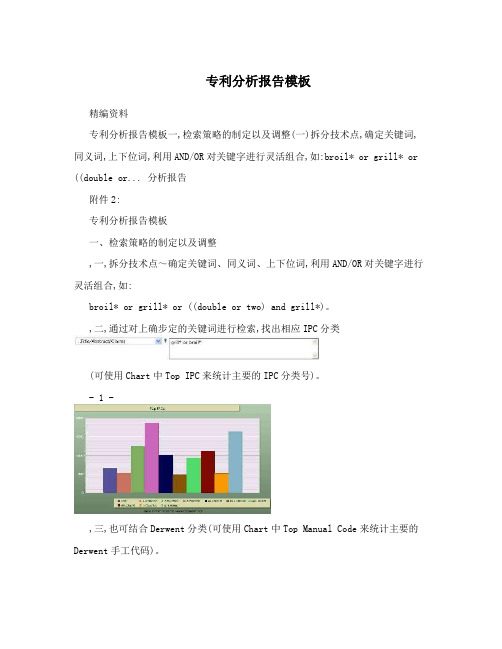 专利分析报告模板