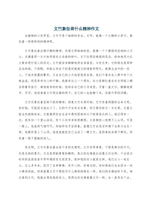 文竹象征着什么精神作文