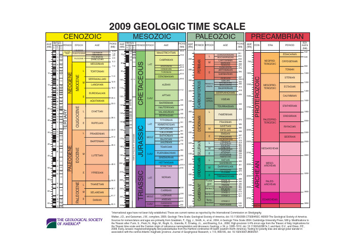 2009地质年代表