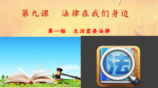 人教部编版七年级道德与法治下册课件：第九课第一框  生活需要法律共27张PPT