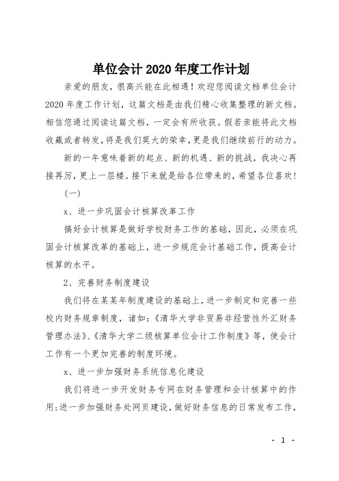 单位会计2020年度工作计划