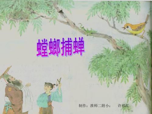 [苏教版]六年级语文下册 10.螳螂捕蝉2(优质)