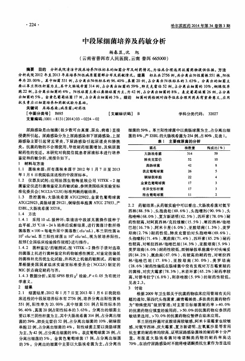 中段尿细菌培养及药敏分析