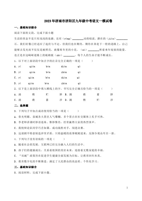 2023年济南市济阳区九年级中考语文一模试卷附答案解析