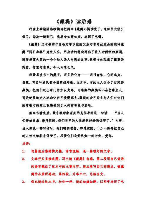 《藏獒》读后感