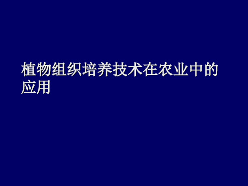 植物组织培养技术在农业中的应用(PPT)