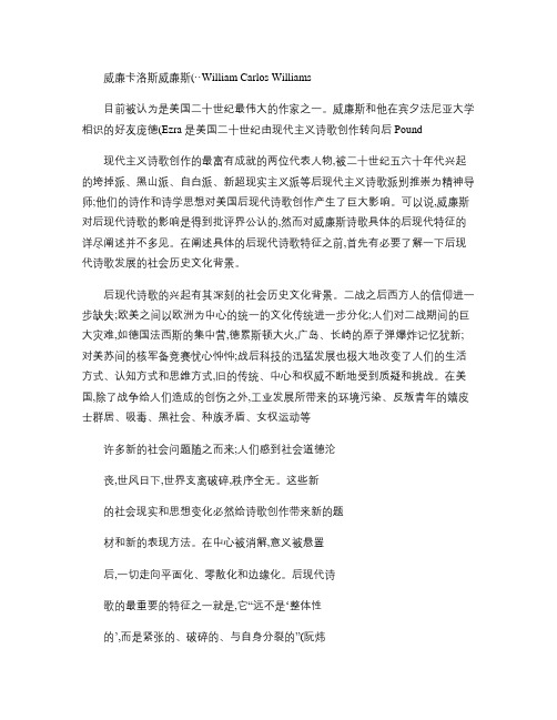 威廉_卡洛斯_威廉斯诗歌的零散化特征_以_佩特森_为例