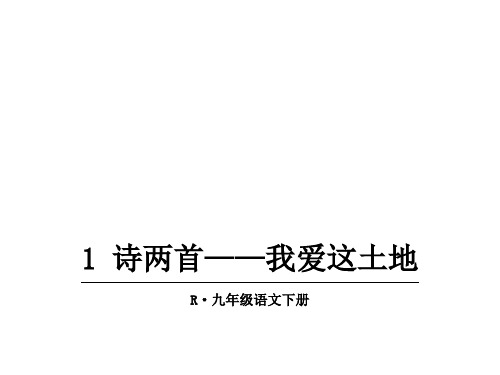 最新人教部编版九年级下册语文精品课件-1.诗两首——我爱这土地