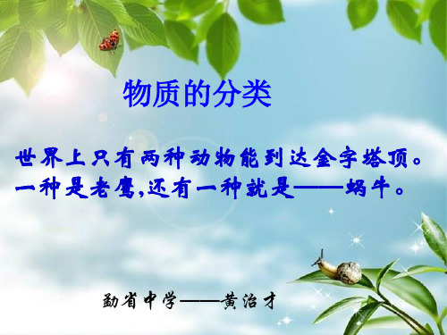 初中化学《物质的分类》精品PPT课件