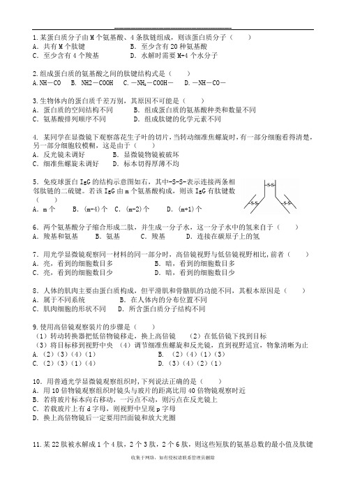 最新人教版高中生物必修一蛋白质练习