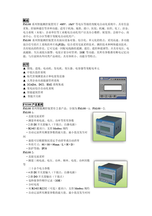 FM100 电力仪表